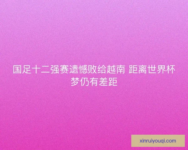 国足十二强赛遗憾败给越南 距离世界杯梦仍有差距